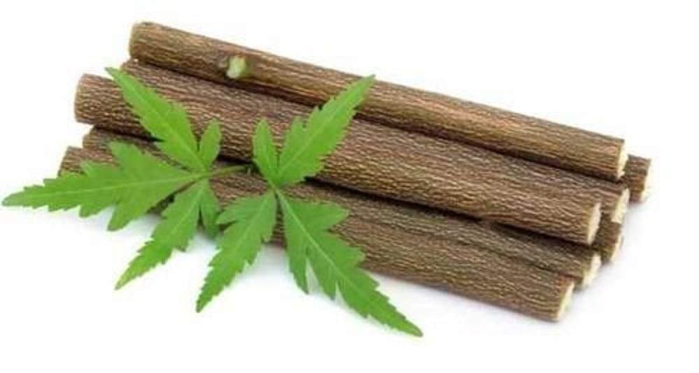 How to Neem Datun in India.